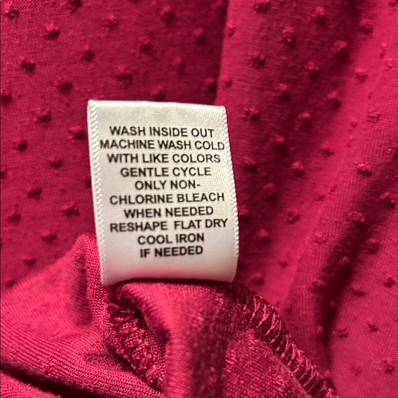 Elle Cranberry Sleeveless Swiss Dot Blouse - Picture 4 of 5